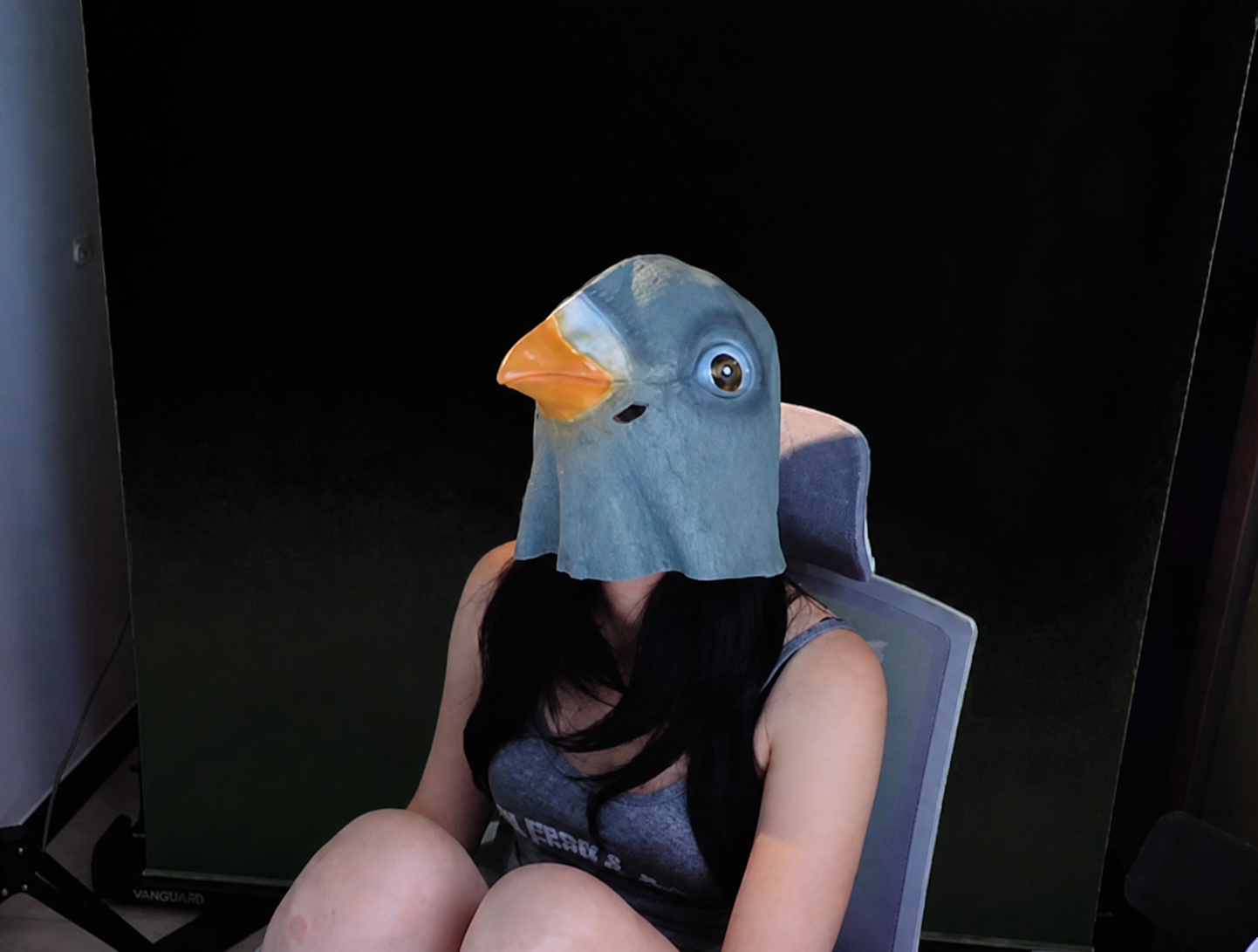 Hatoful Boyfriend 플레이 후반, 비둘기 탈을 쓴 채 초라하게 웅크려 앉은 머찌다